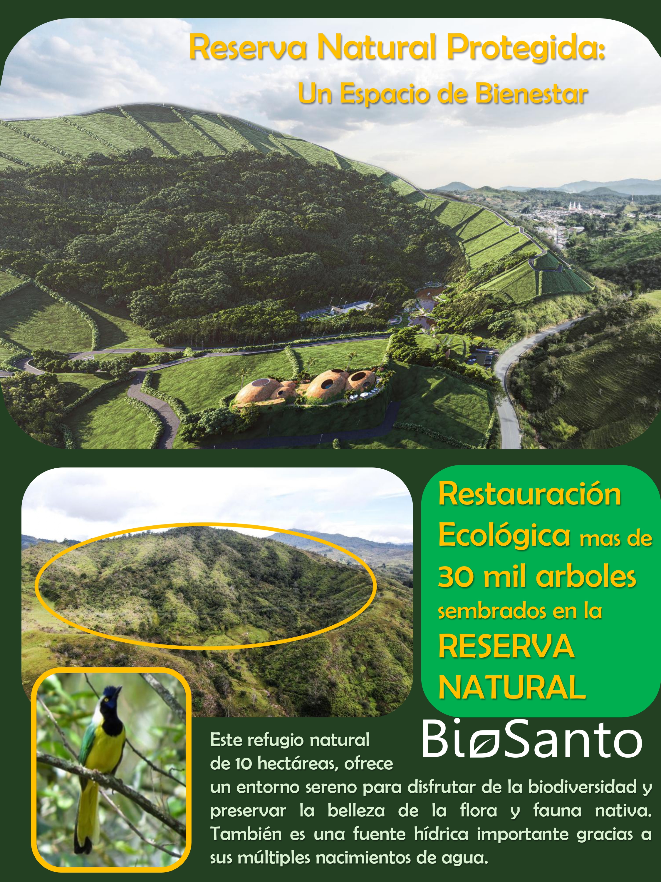 Vista adicional Proyecto Biosanto